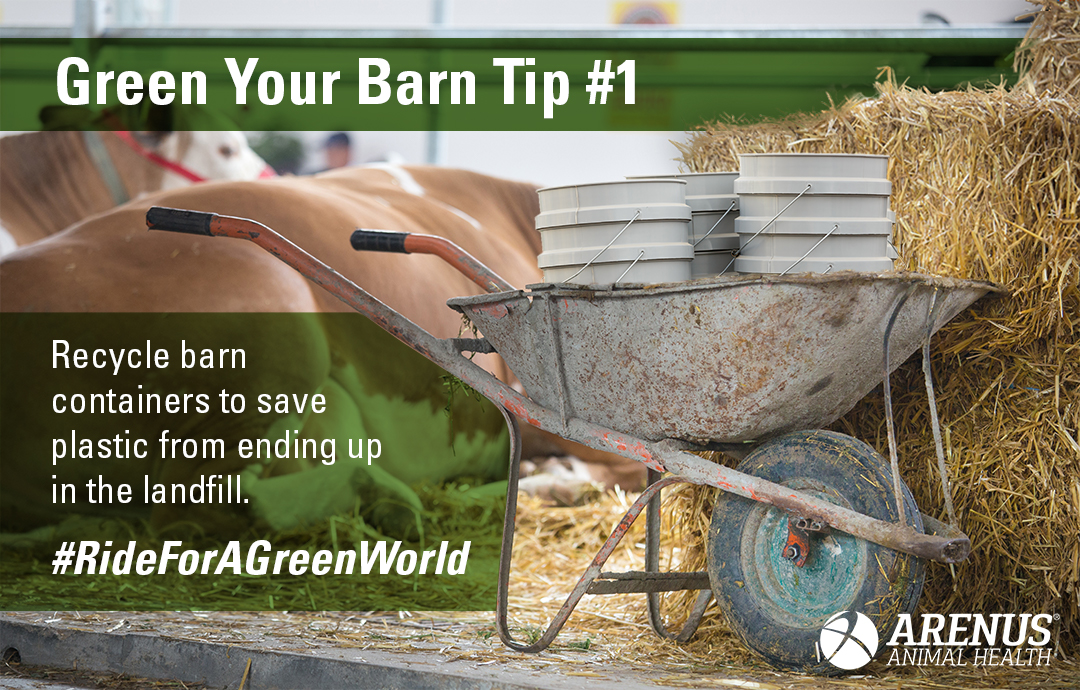 Tips for an earth-friendly barn 