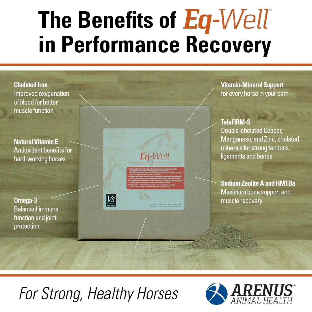 The Benefits of Eq-Well in Performance Recovery 